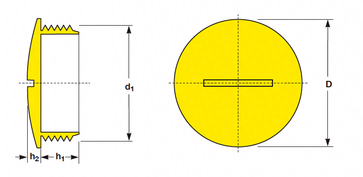 Threaded Blanking Plugs